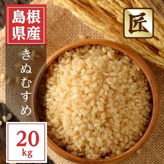 ★新米★【令和4年産】 島根県産きぬむすめ　玄米　20kg(米/穀物)