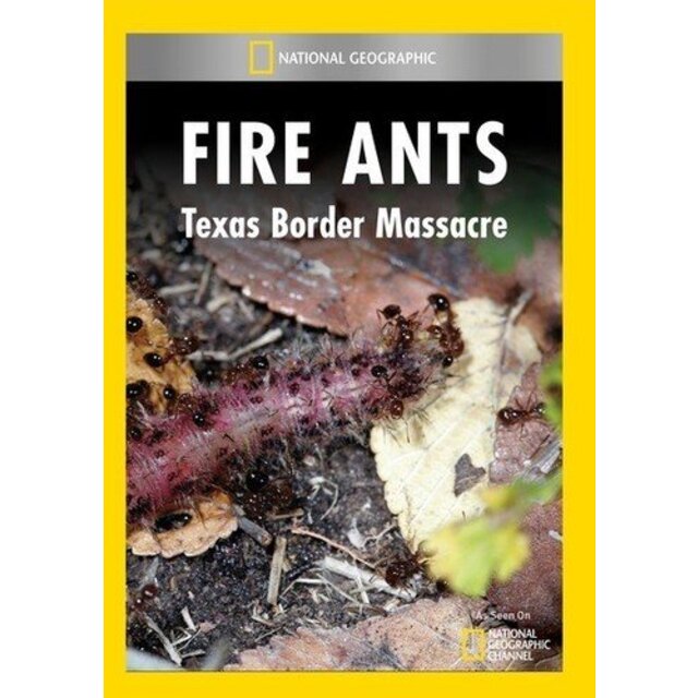 Fire Ants: Texas Border Massacre [DVD]