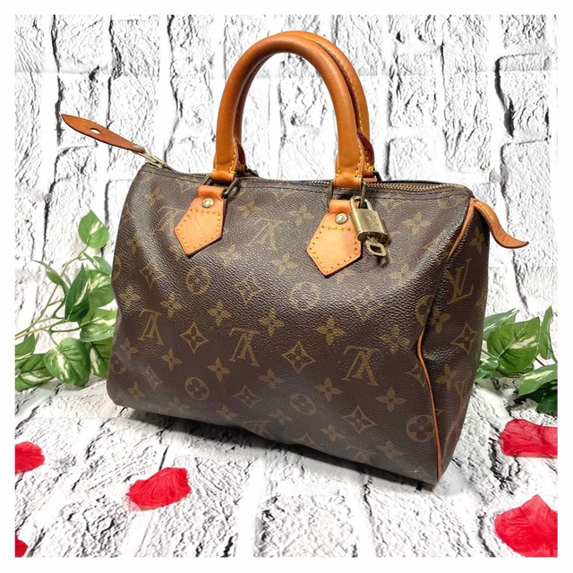 Premium Line ✨美品✨ルイヴィトン モノグラム スピーディ