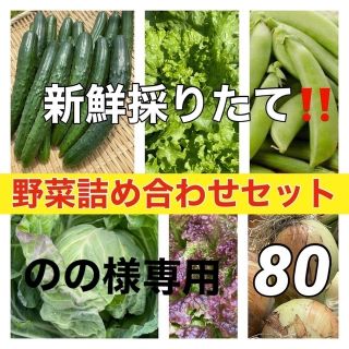 【のの様専用】野菜セット❗️新鮮野菜をお届け‼️(野菜)