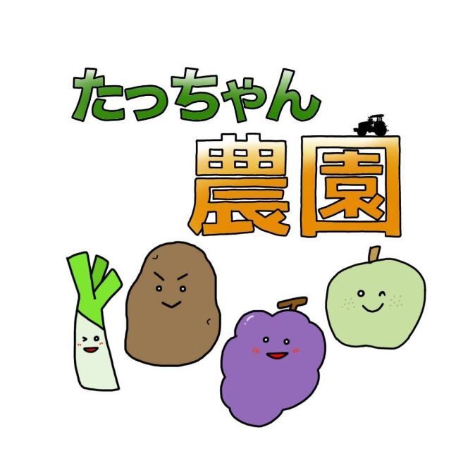 【鳥取県産】白ネギ　柳生　宅急便コンパクト　白ねぎ　ネギ　野菜　葱　玉ねぎ 食品/飲料/酒の食品(野菜)の商品写真