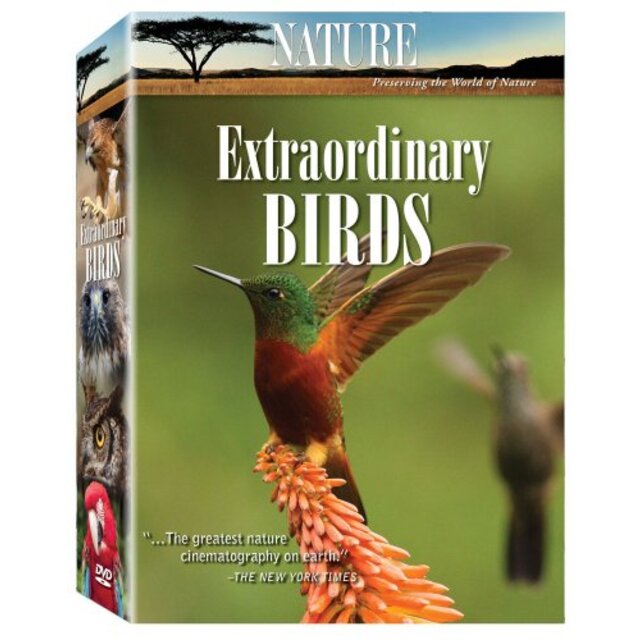 Nature: Extraordinary Birds [DVD]