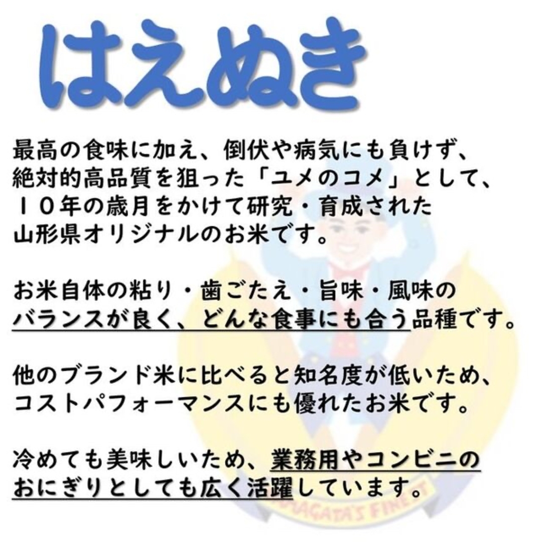 令和３年　山形県庄内産　はえぬき　白米１０ｋｇ　Ｇセレクション