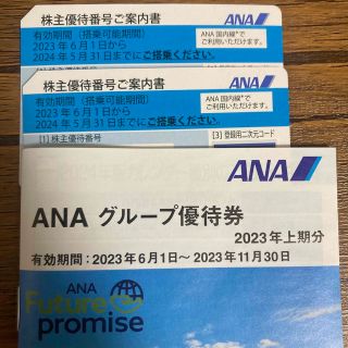 エーエヌエー(ゼンニッポンクウユ)(ANA(全日本空輸))のANA株主優待券　2枚　とグループ優待券(その他)