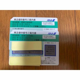 エーエヌエー(ゼンニッポンクウユ)(ANA(全日本空輸))のANA株主優待券　2023/11/30まで　2枚セット(その他)