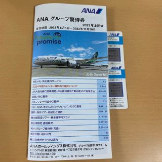 エーエヌエー(ゼンニッポンクウユ)(ANA(全日本空輸))のANA 株主優待　航空チケット(航空券)