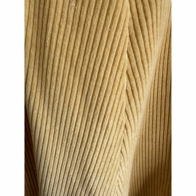 Ron Herman(ロンハーマン)の新品　MADISONBLUE コーデュロイフレアスカート 01 レディースのスカート(ロングスカート)の商品写真