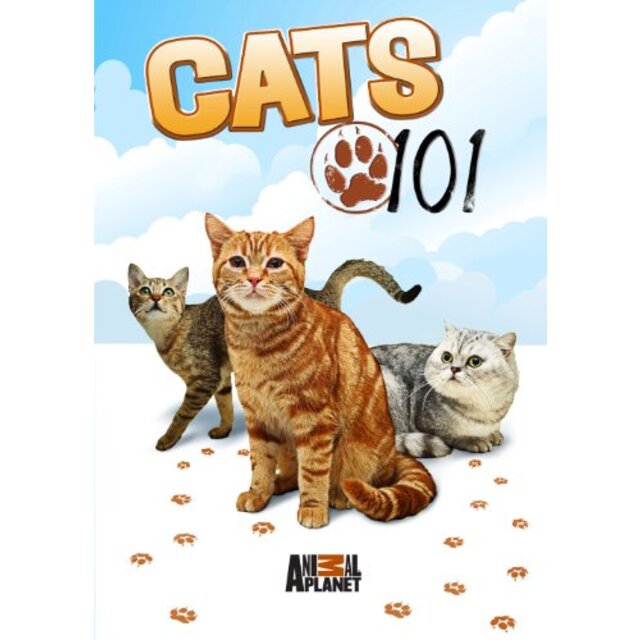 Cats 101 [DVD]-www.villanueva-lab.com