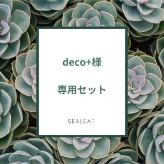 deco+様専用セット(その他)