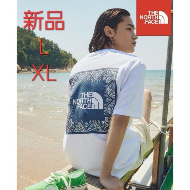 THE NORTH FACE(ザノースフェイス)のTHE NORTH FACE　ノースフェイス　新品　半袖　Tシャツ　トップスL メンズのトップス(Tシャツ/カットソー(半袖/袖なし))の商品写真