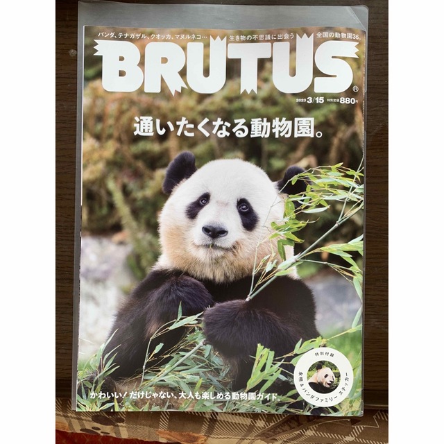 マガジンハウス(マガジンハウス)のBRUTUS (ブルータス) 2023年 3/15号　パンダシール付き エンタメ/ホビーの雑誌(その他)の商品写真