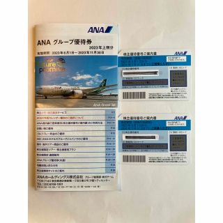 エーエヌエー(ゼンニッポンクウユ)(ANA(全日本空輸))の[最新]  ANA 株主優待券 2枚 グループ優待券付(航空券)