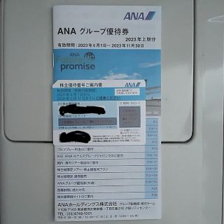 エーエヌエー(ゼンニッポンクウユ)(ANA(全日本空輸))のANA 株主優待カード １枚(航空券)