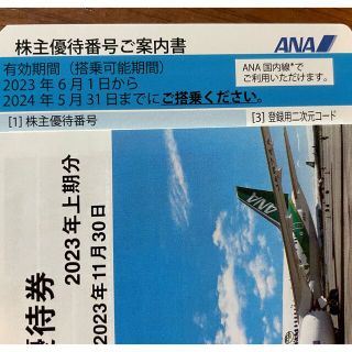 ANA 株式優待券　優待券　1枚(航空券)