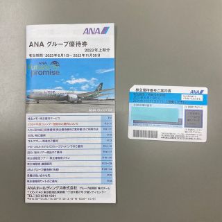 エーエヌエー(ゼンニッポンクウユ)(ANA(全日本空輸))のANA 株主優待券1枚と冊子1冊(航空券)