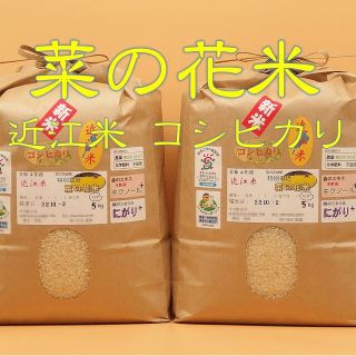 《こずま様専用》令和4年産☆特別栽培菜の花米☆20kg☆近江米コシ☆玄米白米糠(米/穀物)