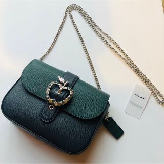 COACH - □現行品□【コーチ】2way ローグ 12 カラーブロック
