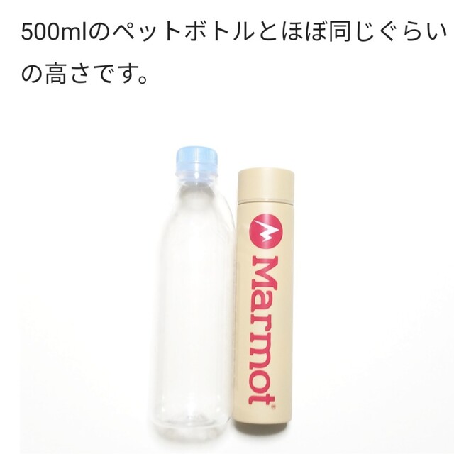 MARMOT(マーモット)のマーモット ステンレスボトル MonoMax モノマックス 付録 キッズ/ベビー/マタニティの授乳/お食事用品(水筒)の商品写真