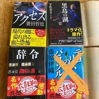 アクセス　辞令　　黒鳥の湖　3冊(文学/小説)