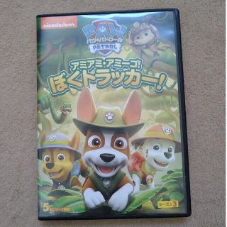 パウパトロール　DVD　中古(アニメ)