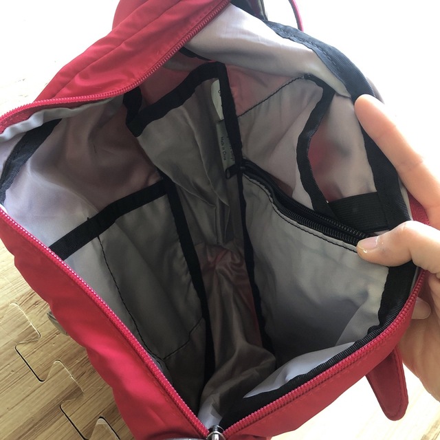 THE NORTH FACE(ザノースフェイス)のHEALTHY BACK BAG 美品 メンズのバッグ(メッセンジャーバッグ)の商品写真