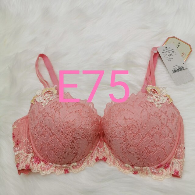 Triumph - トリンプ プレミアム レッドレーベル0066 ブラジャーE75の