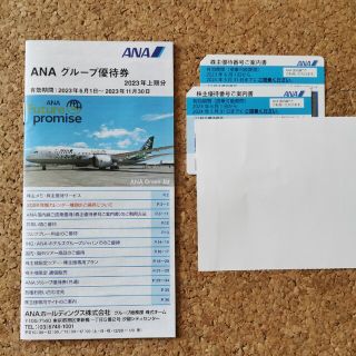 エーエヌエー(ゼンニッポンクウユ)(ANA(全日本空輸))のANA　優待券２枚、グループ優待券１冊(航空券)