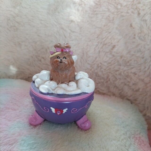 claire's - claire's クレアーズ アクセサリー 小物入れの通販 claire's - claire's クレアーズ アクセサリー 小物入れの通販