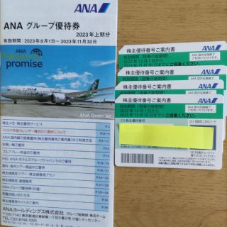 エーエヌエー(ゼンニッポンクウユ)(ANA(全日本空輸))の全日空(ANA)株主優待券(宿泊券)