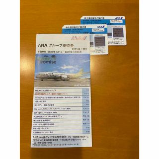 エーエヌエー(ゼンニッポンクウユ)(ANA(全日本空輸))のANA 株主優待券　2枚　+パンフレット(航空券)