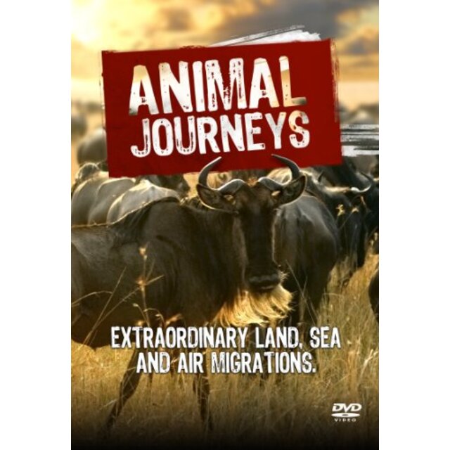 Animal Journeys [DVD]