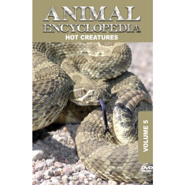 Animal Encyclopedia 5: Hot Creatures [DVD]