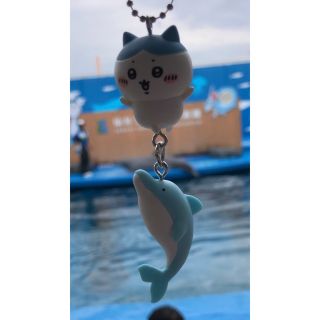 未開封　ちいかわ　ハチワレ　水族館　イルカ　限定　ガチャ　ガシャポン(キャラクターグッズ)