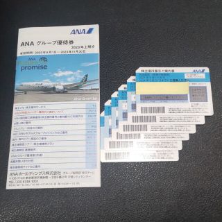 エーエヌエー(ゼンニッポンクウユ)(ANA(全日本空輸))の【最新版】ANA株主優待6枚・グループ優待券1冊(その他)