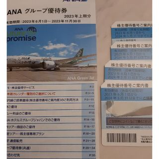 エーエヌエー(ゼンニッポンクウユ)(ANA(全日本空輸))のANA ana　株主優待　４枚。株主割引券　2023年6/1～2024年5/31(航空券)