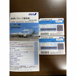 ANA （全日空）株主優待(その他)