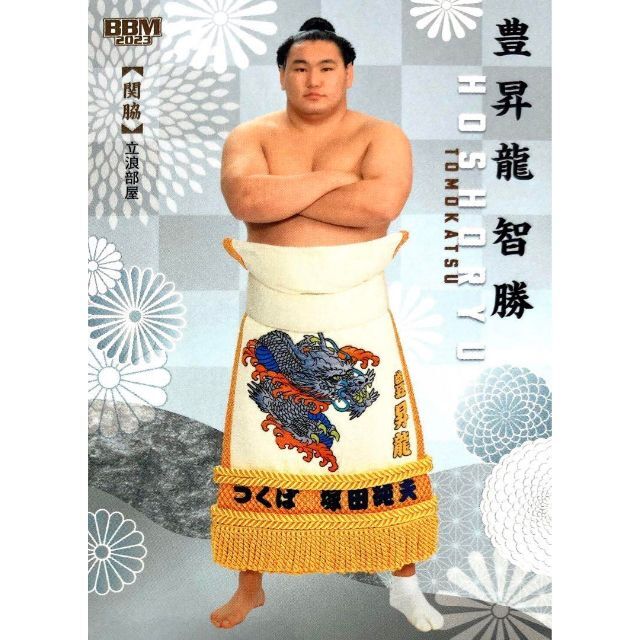 豊昇龍 関脇 直筆サインカード BBM 2023 大相撲カード 絆