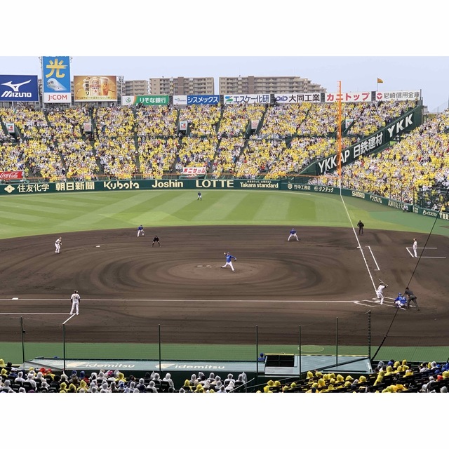 阪神タイガース(ハンシンタイガース)の6月18日　甲子園　阪神vsソフトバンク　14時開始　グリーンシート通路側2席 チケットのスポーツ(野球)の商品写真