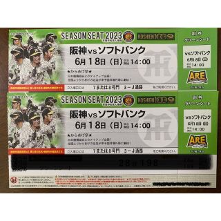 ハンシンタイガース(阪神タイガース)の6月18日　甲子園　阪神vsソフトバンク　14時開始　グリーンシート通路側2席(野球)