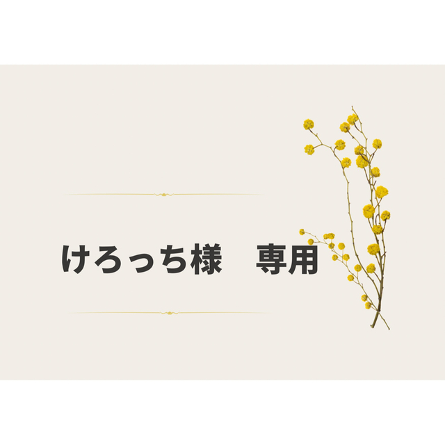 ⭐︎けろっち様専用⭐︎グリコおまけ　レトロ エンタメ/ホビーのおもちゃ/ぬいぐるみ(キャラクターグッズ)の商品写真