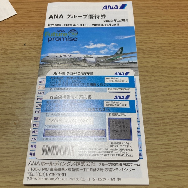 ANA株主優待券２枚、グループ優待券 チケットの乗車券/交通券(航空券)の商品写真