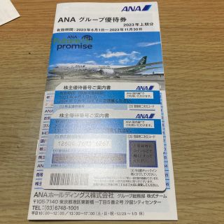 ANA株主優待券２枚、グループ優待券(航空券)