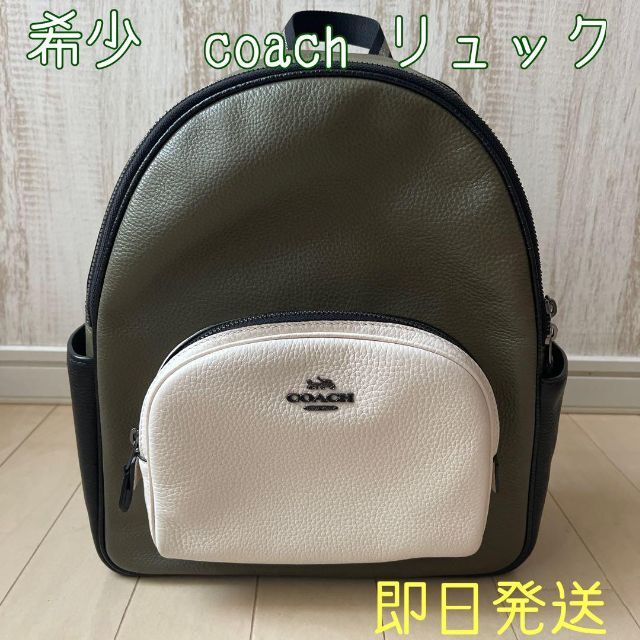 【極美品】コーチ COACH バッグ リュック C2797