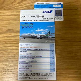 エーエヌエー(ゼンニッポンクウユ)(ANA(全日本空輸))のANA 株主優待　グループ優待　2023年上期分(航空券)