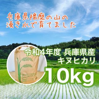 山の湧き水育ち 農家のお米 兵庫県産キヌヒカリ 10kg(米/穀物)