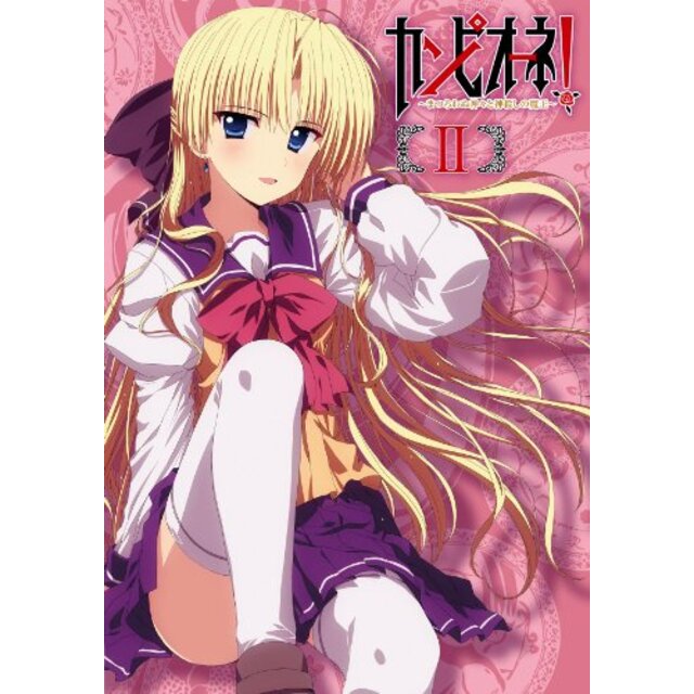 【中古】カンピオーネ! ~まつろわぬ神々と神殺しの魔王~ 2 (初回生産限定版) [DVD] i8my1cf | フリマアプリ ラクマ