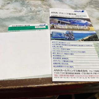 エーエヌエー(ゼンニッポンクウユ)(ANA(全日本空輸))のANA 国内線ご搭乗優待券　一枚(航空券)