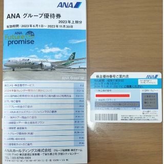 エーエヌエー(ゼンニッポンクウユ)(ANA(全日本空輸))のANA株主優待(航空券)