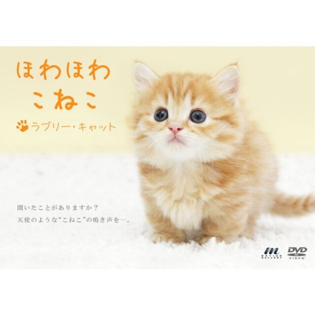 ほわほわこねこ ラブリー・キャット [DVD] i8my1cf