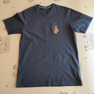 パタゴニア(patagonia)のPataloha パタゴニア レスポンシビリティー TシャツM(Tシャツ/カットソー(半袖/袖なし))